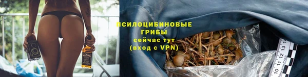 мяу мяу кристалл Корсаков